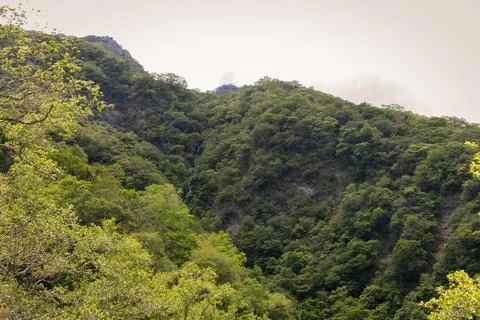 Hidden Waterfall Flowing Through Dense Green Mountains Surrounded By Thick .. Stock Photos