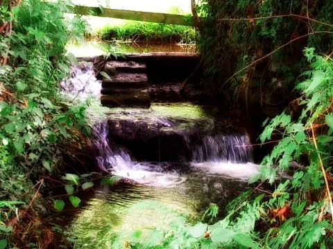 Hidden Waterfall Stock Footage 489834