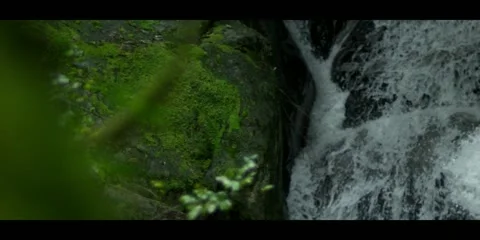 Hidden Waterfall Stockbeeldmateriaal 20612822