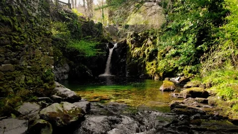 Hidden Waterfall 動画素材 273821768