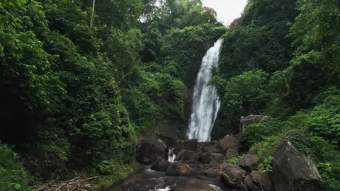 Hidden waterfall Stock Footage 314699454