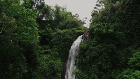 Hidden waterfall 動画素材 314699604