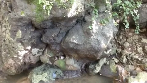 The Hidden Waterfall 库存影片 332601150