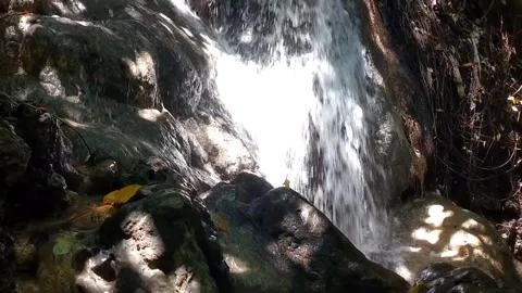 A Hidden Waterfall in the Forest Stock Footage 331105330