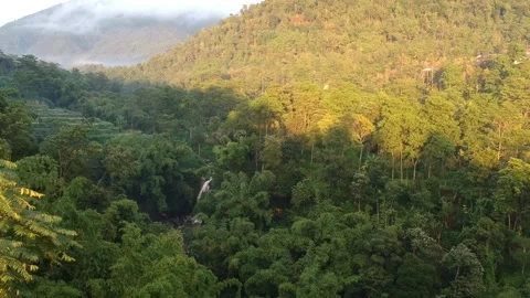 Hidden Waterfall In The Forest Serial View Stock Footage 243798995