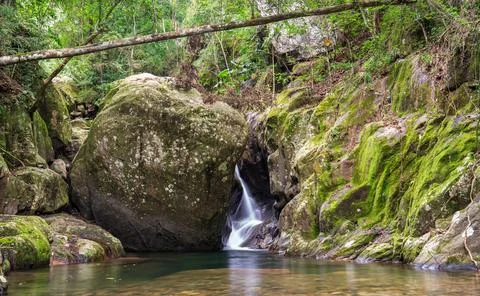 Hidden waterfall found in lush rainforest. Stock Photos