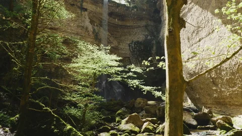 The hidden waterfall in the jungle. Camera tilt up. Drops of water falling Stock Footage 204865898