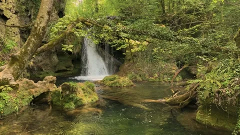 Hidden Waterfall in Lush Forest with Crystal-Clear Stream Stock Footage 313798738