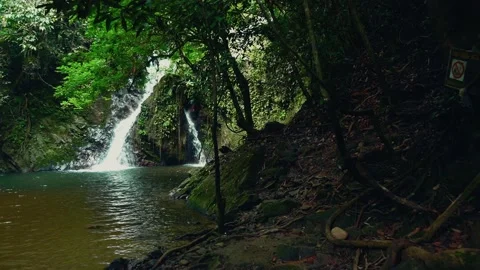 Hidden waterfall - Royal Belum Sanctuary Stock-Footage 142775853