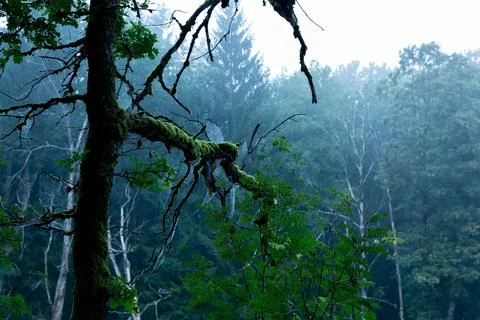 Hidden waters Foto stock