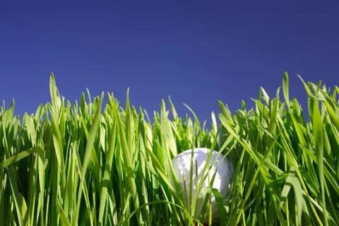 Hidden Wealth 写真素材