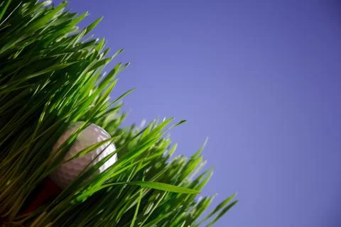 Hidden Wealth 写真素材