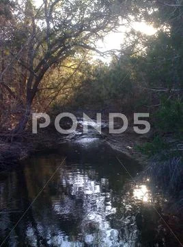 Hidden in Wilderness Stock Photos