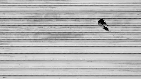 Hidden window behind a dirty shutter Foto stock