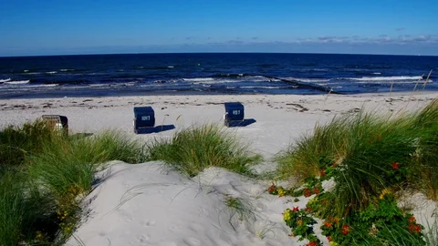 Hiddensee sandy beach in summer, Germany Stock Footage 117222384