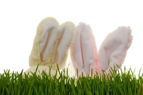 Hide and seek Foto stock