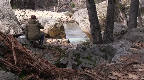 Hiding from the animals Video stock 46181934