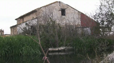 Hiding duck 스톡 동영상 671604