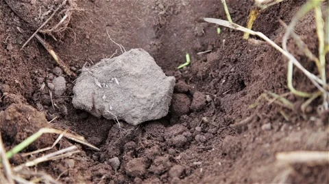 Hiding Geophone Stock Footage 44210963