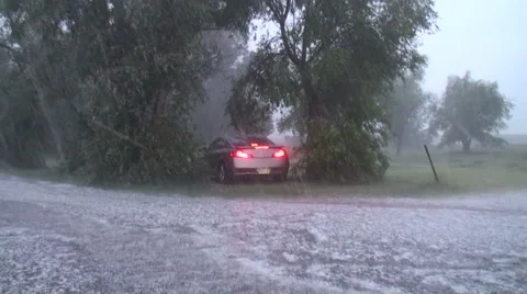 Hiding from the Hail Stock Footage 54749742