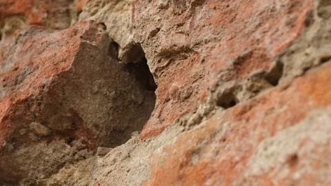Hiding A Letter Inside A Brick Wall Stock Footage 127024216