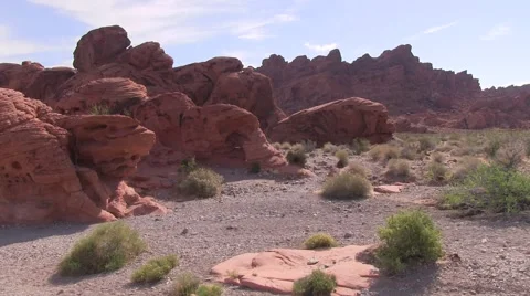 Hiding in the rocks Video stock 50700843