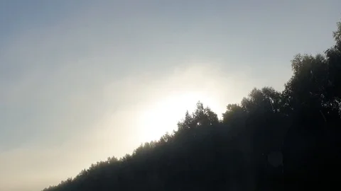 Hiding sun behind tree tops from a car window Stock Footage 116032022
