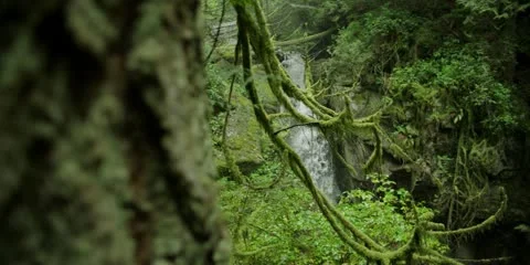 Hiding Waterfall Stockbeeldmateriaal 20609419