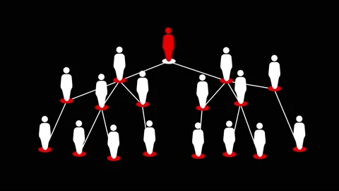Hierarchical Organization Diagram Structure Animation on Black Background Stock Footage 154674446