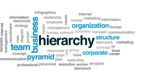 Hierarchy animated word cloud, text design animation. Stock Footage