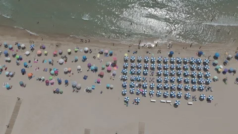 High above the beach Stock-Footage 343586204