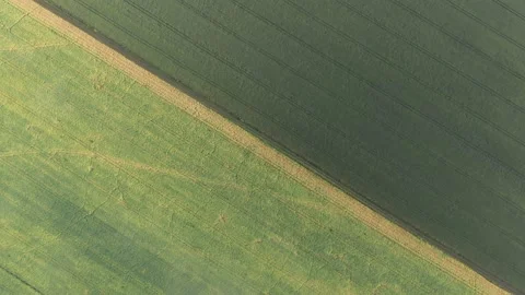 High above fields of cereals 4K aerial footage Stock Footage 132874509