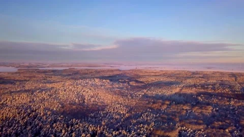 High above flight over winter forests and fields, 4k AERIAL. Stock Footage 166823364