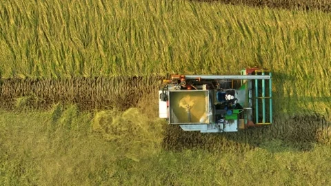 From high above, the harvester cuts through the field. Video stock 306138006