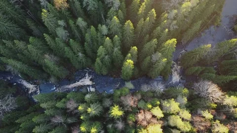 High Above Raging River - sunset time Stock Footage 142159608