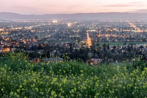 High above Silicon Valley colored with Field Mustards in Spring Stock Photos
