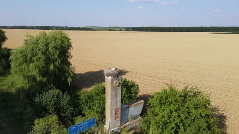 High above top view on the storks nest. Two Storks sitting in the nest 4k Stock Footage 158064267