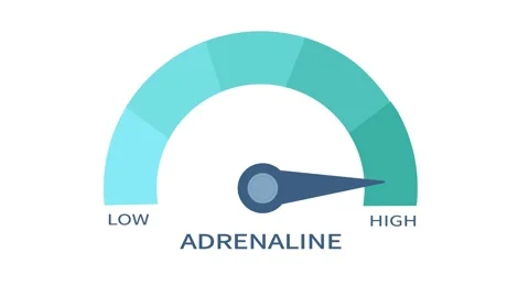 High Adrenaline Gauge Indicator Animation. Speedometer Icon with arrow Indi.. Stock Footage 304773944