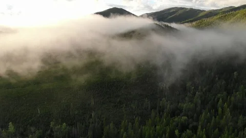 High aerial above low cloud in Montana green mountains 4K Mavic 2 Zoom tilt down Stock Footage 116364259