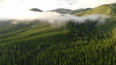High aerial above low clouds in Montana mountains at sunset 4K Mavic 2 Zoom Stock Footage 116364513