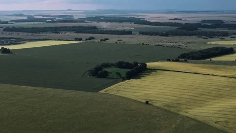 High aerial approach over patchwork of vibrant green fields in rural countryside Stock Footage 313937408