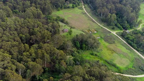 High aerial drone shot of forest area, Taralgon, Victoria, Australia Stock-Footage 277932164