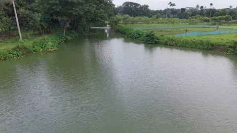 High aerial drone view of a calm village pond surrounded by green vegetation Stock Footage 341523281