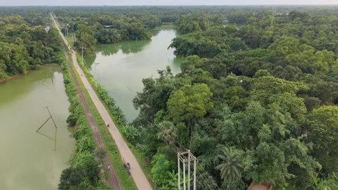 High aerial drone view of a road and railway track passing green forest lake Stock Footage 341525966