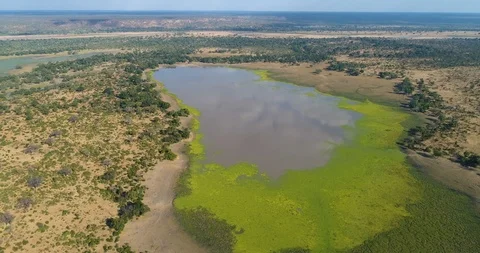 High aerial fly over view of a wetland area in Gonarezhou National Park, Stock Footage 112868939