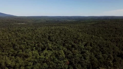High aerial panoramic view of the forest in the surrounding of Stornoway, Que 動画素材 136423933