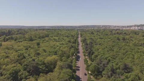 High Aerial Road Through Bois de Boulogne Forest Stock Footage 339649848