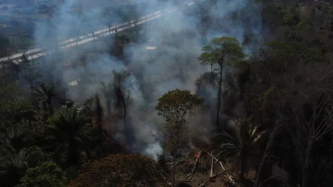High aerial shot of the burning Amazon Rainforest near a small village. Stock Footage