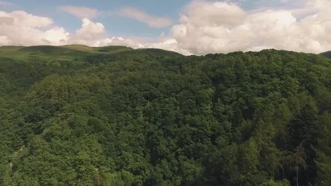 High Aerial shot over A small forest park in Wales Stock Footage 90576079