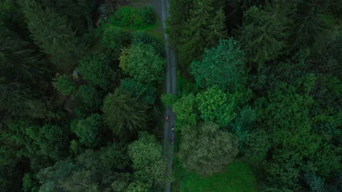 High aerial shot of two cyclists on forest road Stock-Footage 185676705